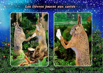 Forêt du Père Noël (062) Lièvres jouant aux cartes
